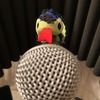 radiobecchicago